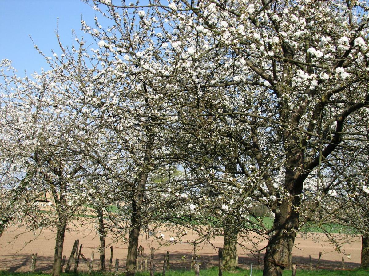 Gite Decouverte Alsace Kuhlendorf Exteriör bild